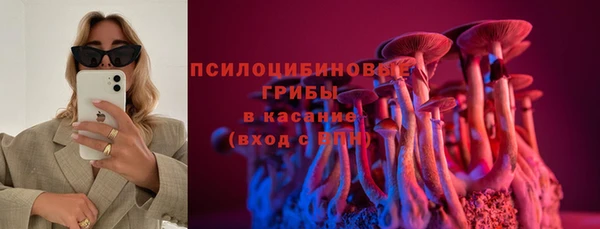 стаф Пролетарск