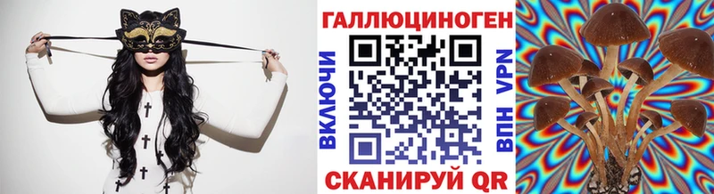 Псилоцибиновые грибы GOLDEN TEACHER  Купить закладки  Судогда 